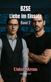 BZSE: Liebe im Einsatz Band 2 (eBook, ePUB)