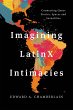 Imagining LatinX Intimacies (eBook, PDF) - Bild 1