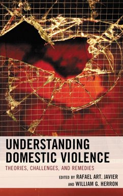 Cover Understanding Domestic Violence (eBook, PDF)