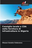 Consiglio locale e CDA nella fornitura di infrastrutture in Nigeria