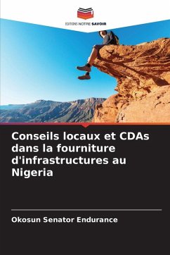 Cover Conseils locaux et CDAs dans la fourniture d'infrastructures au Nigeria
