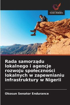Cover Rada samorządu lokalnego i agencje rozwoju spoleczności lokalnych w zapewnianiu infrastruktury w Nigerii