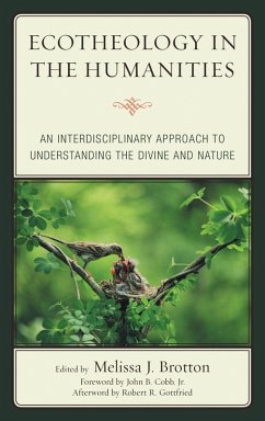 Ecotheology in the Humanities (eBook, PDF)