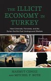 The Illicit Economy in Turkey (eBook, PDF)