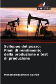 Sviluppo del pozzo: Piani di rendimento della produzione e test di produzione