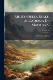 Museo Della Reale Accademia Di Mantova Museo Della Reale Accademia Di Mantova