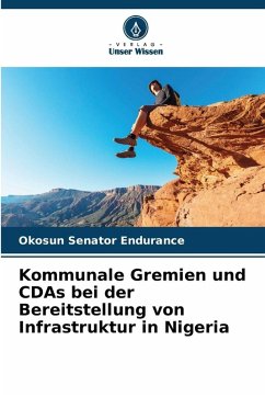 Cover Kommunale Gremien und CDAs bei der Bereitstellung von Infrastruktur in Nigeria