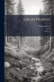 Life in Heaven