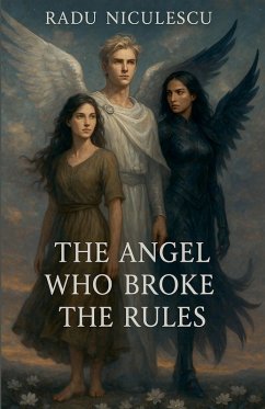 Cover The Angel Who Broke The Rules