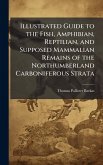 Illustrated Guide to the Fish, Amphibian, Reptilian, and Supposed Mammalian Remains of the Northumberland Carboniferous Strata