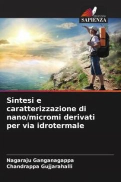 Sintesi e caratterizzazione di nano/micromi derivati per via idrotermale - Ganganagappa, Nagaraju;Gujjarahalli, Chandrappa