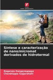 Síntese e caracterização de nano/micromat derivados de hidrotermal