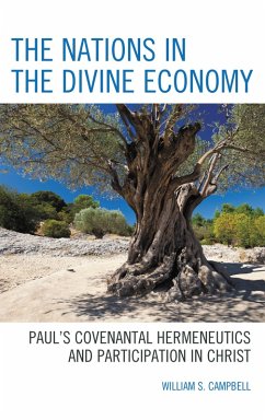 Cover The Nations in the Divine Economy (eBook, PDF)
