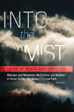 Cover Into the Mist (eBook, ePUB)