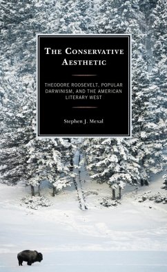 Cover The Conservative Aesthetic (eBook, PDF)