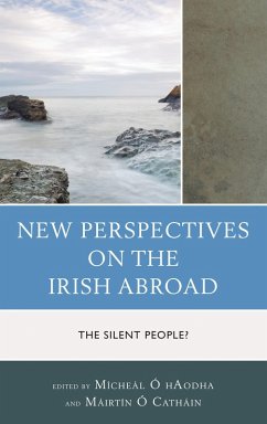 New Perspectives on the Irish Abroad (eBook, PDF)