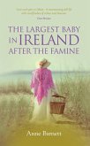 The Largest Baby in Ireland (eBook, ePUB)