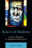 Spaces of Madness (eBook, PDF)