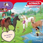 Folge 32: Das Spukhaus am See (MP3-Download)