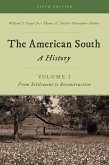 The American South (eBook, PDF)