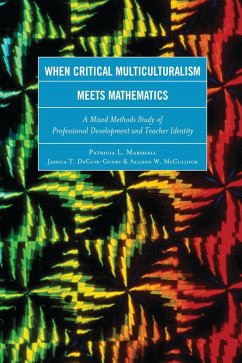 Cover When Critical Multiculturalism Meets Mathematics (eBook, PDF)