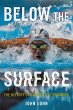 Below the Surface (eBook, PDF) - Bild 1