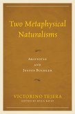 Two Metaphysical Naturalisms (eBook, PDF) Two Metaphysical Naturalisms (eBook, PDF)