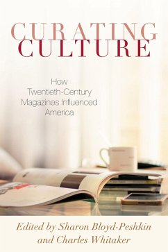 Cover Curating Culture (eBook, PDF)