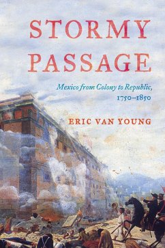 Cover Stormy Passage (eBook, PDF)