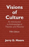 Visions of Culture (eBook, PDF)