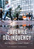 Juvenile Delinquency (eBook, PDF)