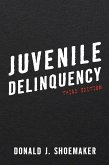 Juvenile Delinquency (eBook, PDF)
