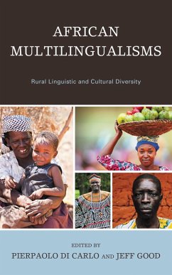 African Multilingualisms (eBook, PDF)