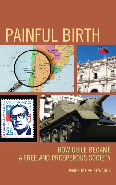 Painful Birth (eBook, PDF)