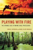 Playing with Fire (eBook, PDF)