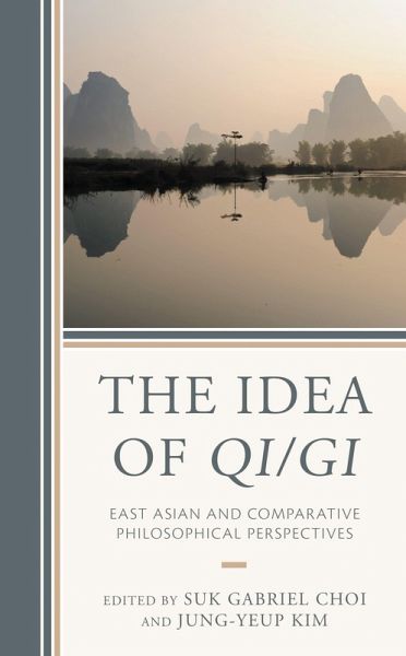 The Idea of Qi/Gi (eBook, PDF)
