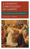 A Synoptic Christology of Lament (eBook, PDF)