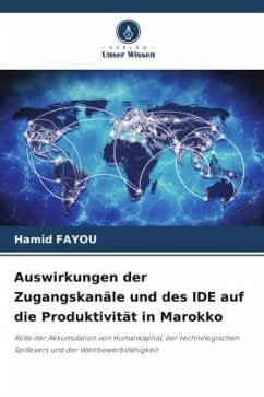 Cover Auswirkungen der Zugangskanäle und des IDE auf die Produktivität in Marokko