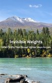 Invisible Weights (eBook, ePUB)