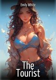 The Tourist (eBook, ePUB)
