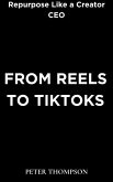From Reels to Tiktoks (eBook, ePUB)