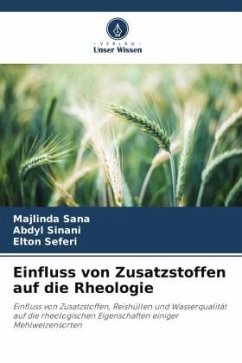 Cover Einfluss von Zusatzstoffen auf die Rheologie