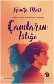 Camlarin Isligi Camlarin Isligi