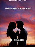 A Romantic Comedy Of Mixed Heritages (eBook, ePUB)