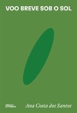 Voo breve sob o sol (eBook, ePUB)