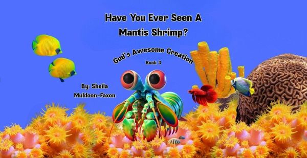 Have You Ever Seen A Mantis Shrimp? (God's Awesome Creation, #3) (eBook, ePUB)