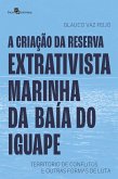 A criação da Reserva Extrativista Marinha da Baía do Iguape (eBook, ePUB)