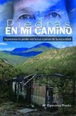 Piedras en mi Camino (eBook, ePUB)