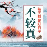 不较真 (MP3-Download)