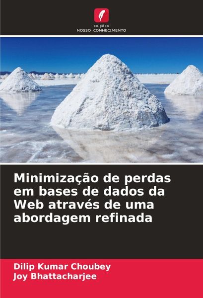 Minimização de perdas em bases de dados da Web através de uma abordagem refinada Minimização de perdas em bases de dados da Web através de uma abordagem refinada